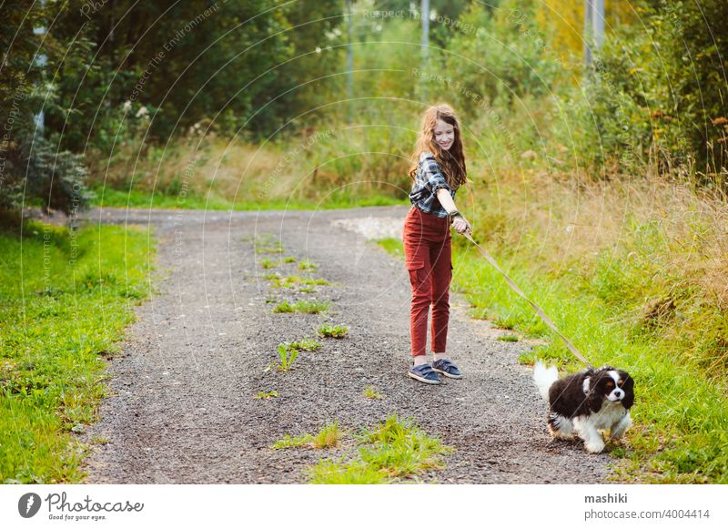 happy kid girl walking with her cavalier king charles spaniel dog on summer country road. Training her puppy and having fun. child animal pet nature outdoor