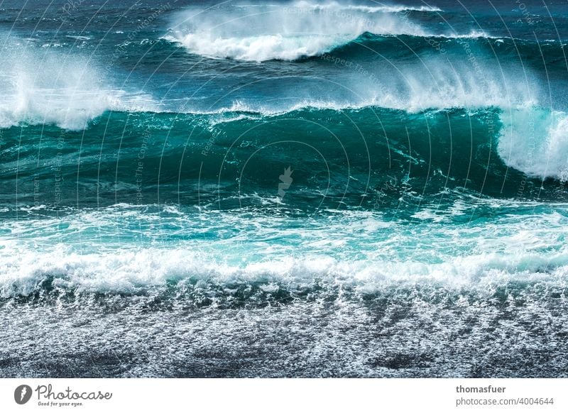 Atlantic surf waves with fresh wind Waves Ocean Elements Sky Summer Freedom Far-off places Wind coast Adventure Weather Climate Exterior shot Day Light Shadow