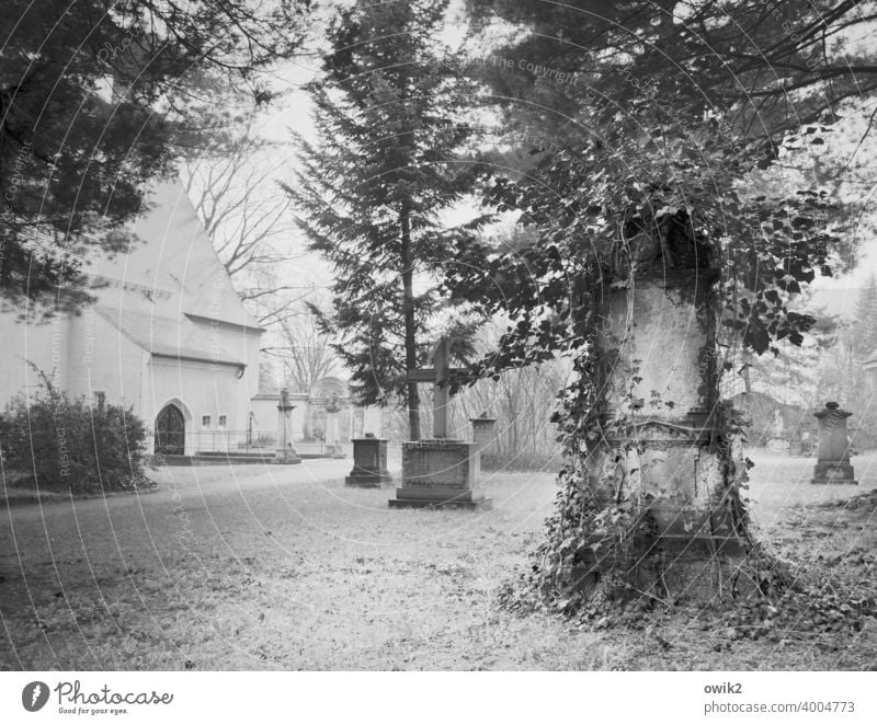 ponder Grief Concern Hope Sadness Eternity Humble Belief Death Past Transience Black & white photo Germany Deserted Copy Space left Day Copy Space bottom Shadow