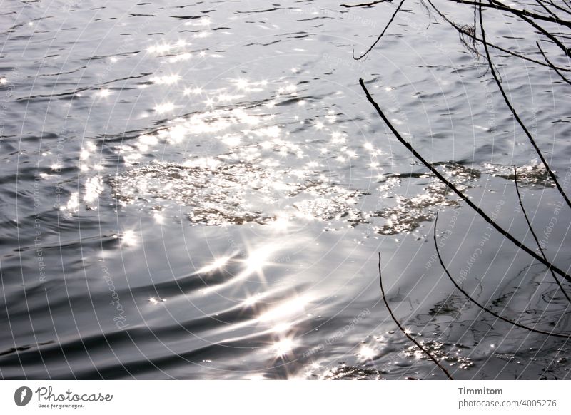 Gentle ice streaks on the Neckar River Water Cold Ice Winter Waves Light Exterior shot Frost