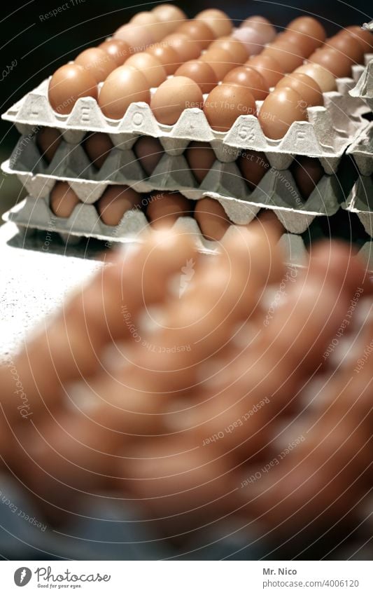 Eggs in cartons eggs Eggs cardboard Easter Food Nutrition Eggshell Hen's egg Organic farmer cardboard box Stack Trade Farmer's market Markets stacked Brown