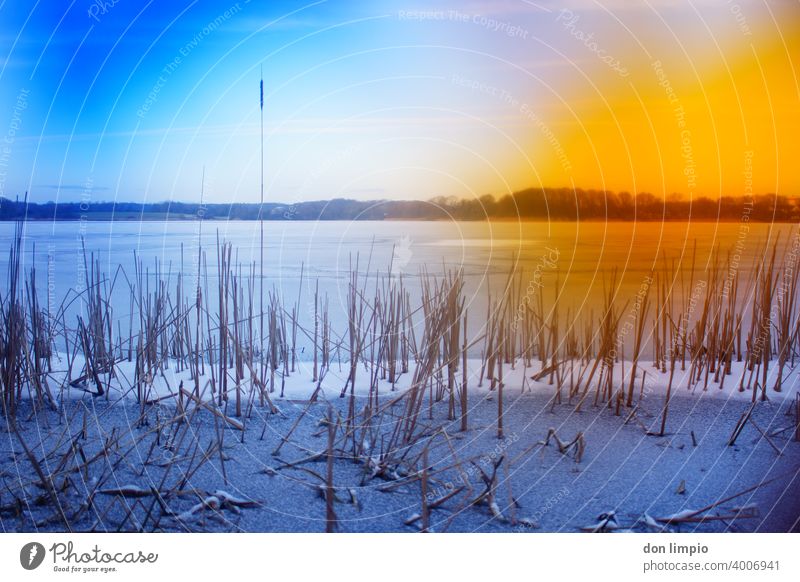 Greenkeepers Secret Love/Fault Nature Lake Preetz Winter Ice Frozen Landscape Cold Water Environment Deserted Frost Day Lakeside Frozen surface Exterior shot