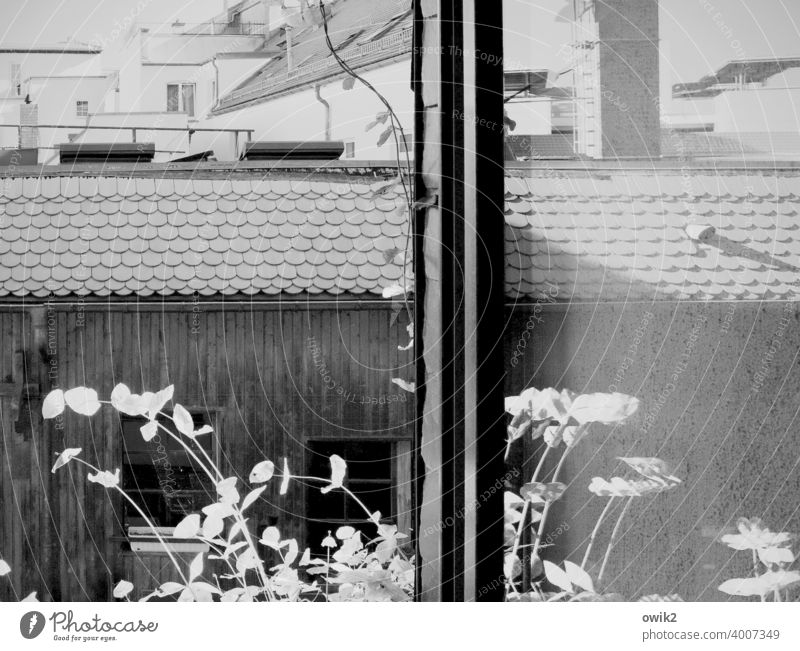 field of view Window Corner Glass Long shot Sunlight Day Copy Space right Deserted Structures and shapes Shaft of light Bright Living or residing Moody