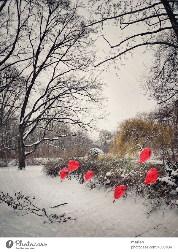 Cold hearts Heart Balloon Winter Snow Tree shrub Deserted Exterior shot Frost Landscape Sky Day Wind