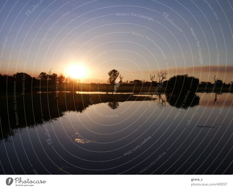 peace, joy, egg cake Sunset Reflection Tree Pink Australia Peace Water Blue