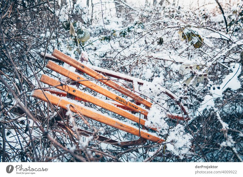 What was left of the tobogganing: Sledge in the bush Central perspective Deep depth of field Contrast Shadow Copy Space bottom Copy Space top Copy Space left