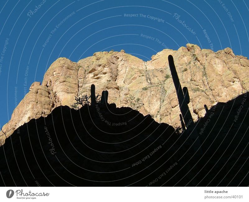 Apache Country Hill Cactus Native Americans Cowboy Western Arizona Mountain Rock Stone Shadow USA