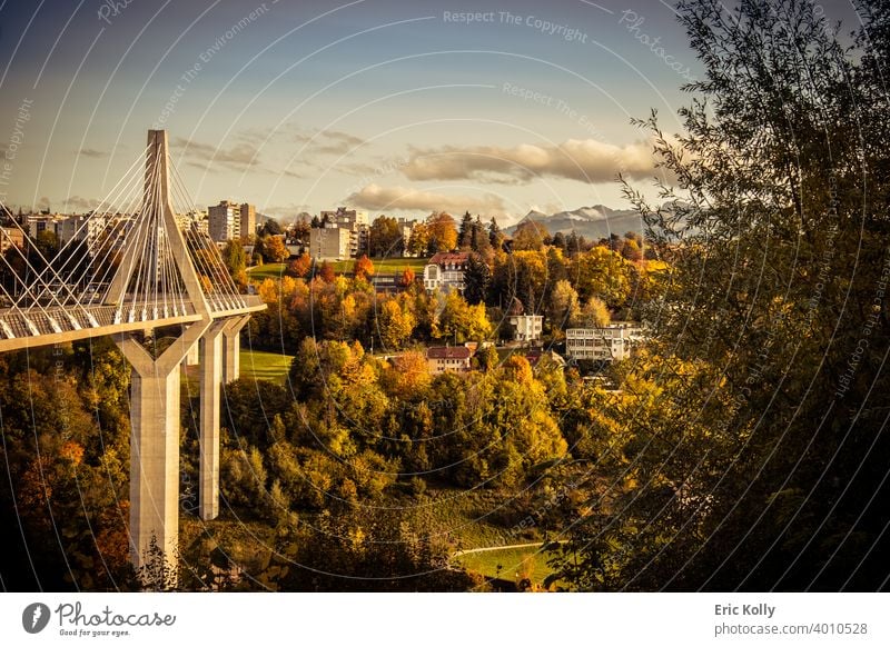 The Poya Bridge in Autumn, shot in Fribourg, Switzerland swiss europe european bridge poya architecture architectural transport transportation superstructure