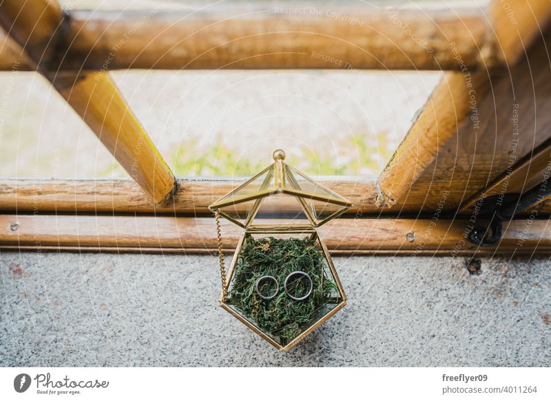 Wedding rings on a golden box wedding object still still life copy space marriage pentagon pentagonal jewellery jewelry silver titanium metal moss glass band