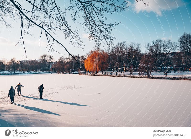 Landwehrkanal during the day in winter backlight with brave people on the ice Deep depth of field Sunbeam Sunlight Reflection Contrast Shadow Light