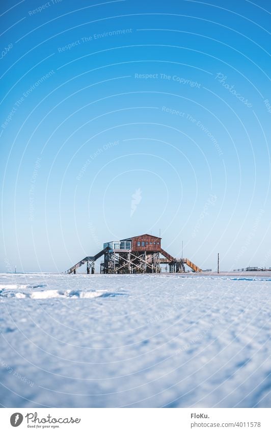 St. Peter-Ording pile dwellings in winter sanct peter-ording Winter coast North Sea Snow Ice Cold Beach Exterior shot Ocean Sky Far-off places Landscape