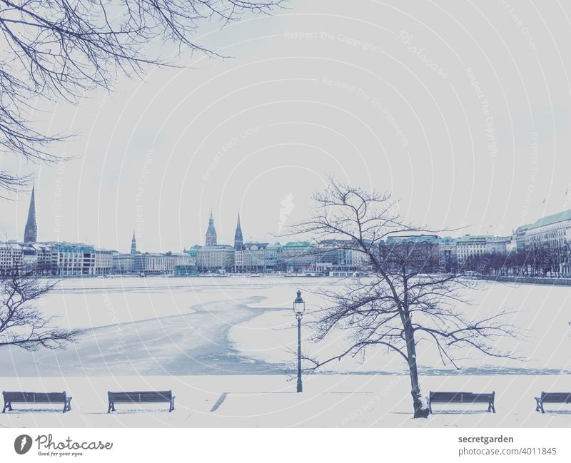 Snow-blind and freezing in Hamburg. Water Sky Snowscape Monochrome streetlamp Horizon Park bench stroll Alster Banks of the Alster Exterior shot Skyline