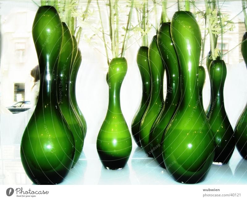 Branch Flower Vase Green Flower shop Vienna Living or residing Glass