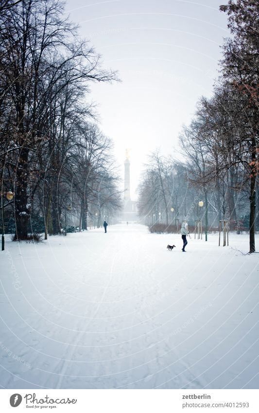 Winter in the Great Zoo Evening Tree Berlin leaf gold Monument Germany Twilight Ice else Closing time Figure Frost Gold Goldelse victory statue big star