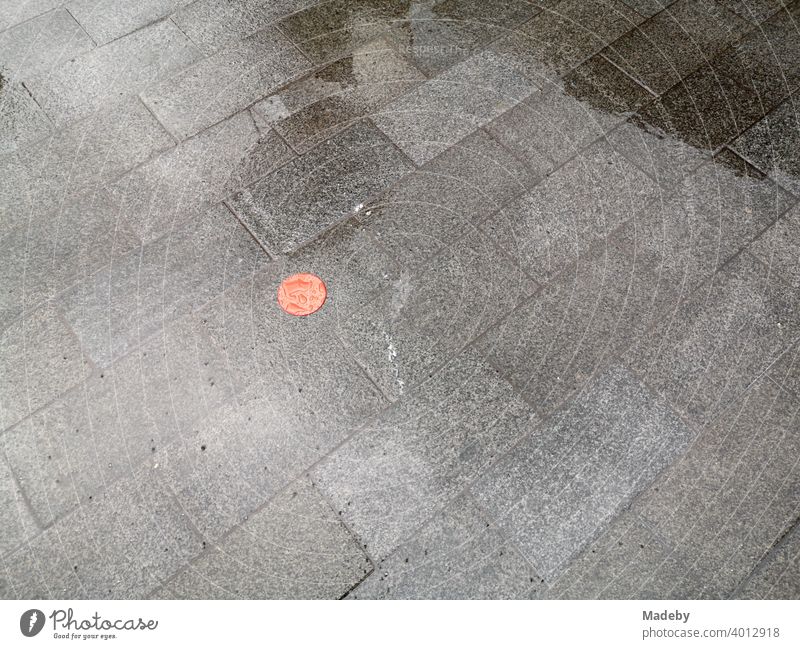 Red plastic dot on wet grey pavement during rain in Frankfurt am Main in Hesse, Germany Point Plastic paving Gray Rain Wet Rainy weather mark accent