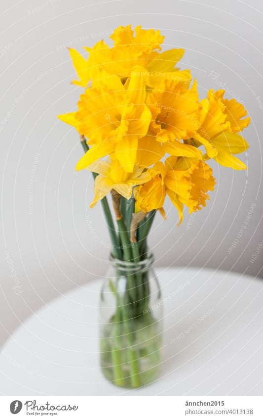 In the middle is a bouquet of daffodils in a vase on a table Narcissus Easter Spring celebrations Seasons Flower Yellow Colour photo Feasts & Celebrations