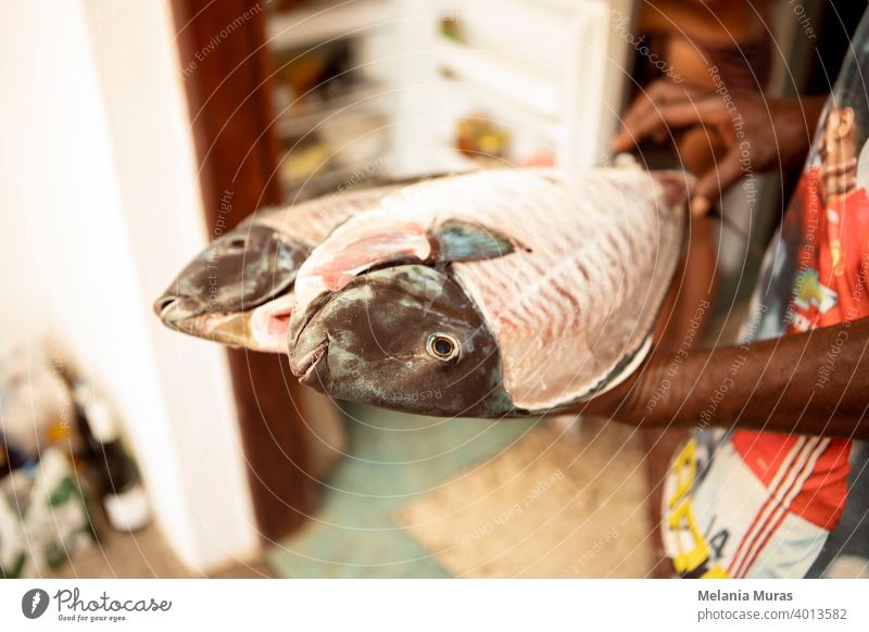 Close-up of raw fish on the plate shown by the fisherman, visible hands, domestic kitchen. Huge fresh fishes ready to cook. Fish preparation. animal aquaculture