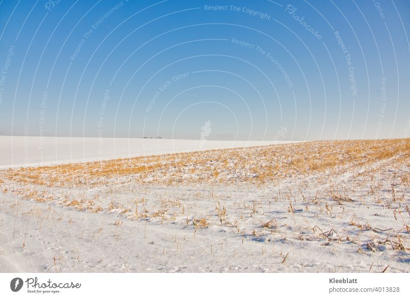 Winter in the field. Bare stubble fields with snow cover and deep blue winter sky Bare Fields Cold Snow Exterior shot Landscape Nature Deserted Environment