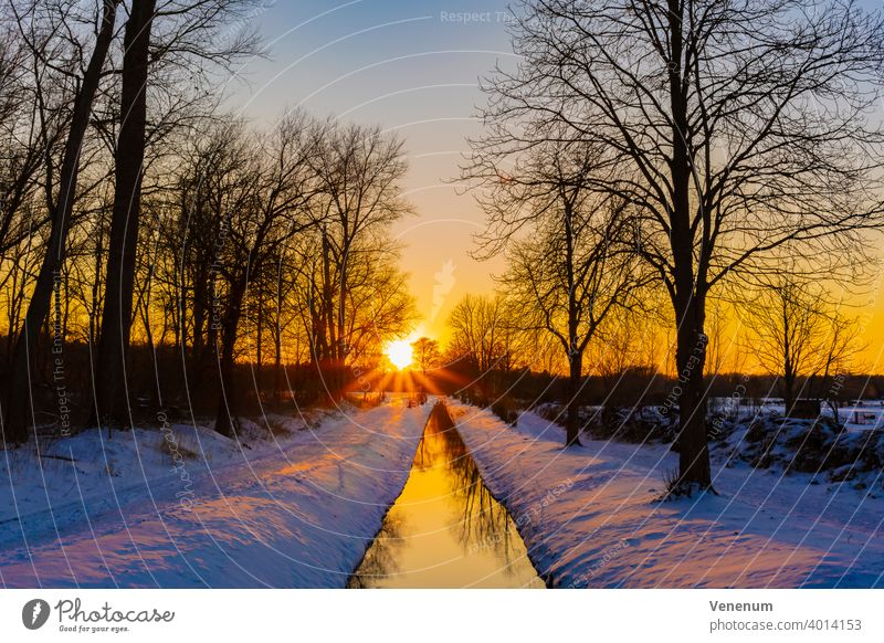 Sunset over the small river Koenigsgraben in Luckenwalde on February 12, 2021 no Cloud no Clouds Nature Sky Evening Color Tree Trees phenomenology landscape