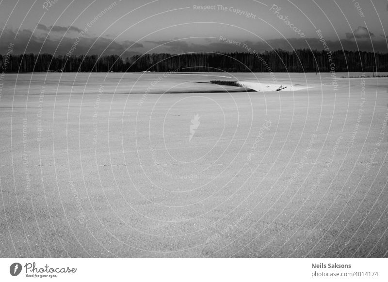 ditch in agricultural field, black and white version of meadow in sunny cold winter day, soil covered with snow and some forest in distance far away agriculture