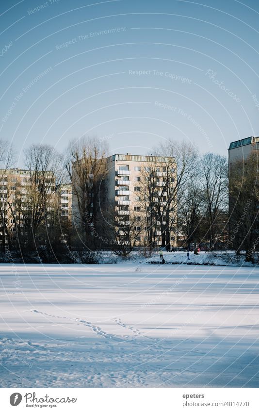 Frozen and fully snowed Appelhoffweiher lake with prefabricated building in the background Prefab construction Panel construction Steilshoop Blue Shadow Window