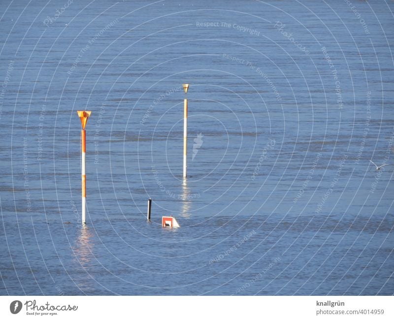 Floods on the Rhine Deluge Climate change Water Weather River Nature Environment Exterior shot Bad weather River bank Inundated Reflection Deserted Landscape