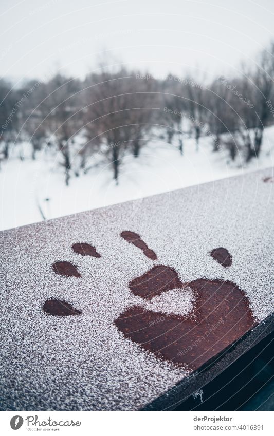 Winter in Berlin: Handprint in Marzahn Exceptional chill Frost Ice Winter mood Tourism Trip Environment Sightseeing Colour photo Exterior shot Deserted Abstract