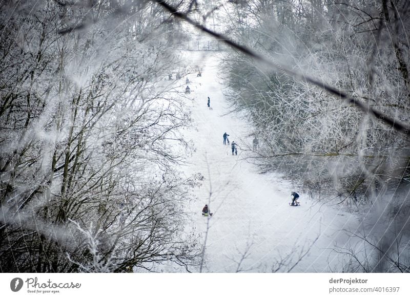 Winter in Berlin: Sledding in Marzahn Exceptional chill Frost Ice Winter mood Tourism Trip Environment Sightseeing Colour photo Exterior shot Deserted Abstract