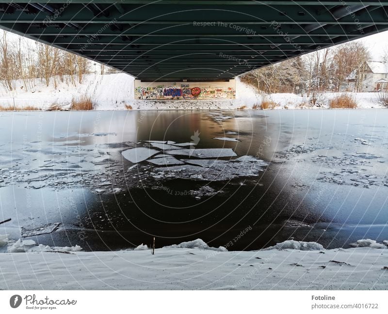 More and more ice floes are floating on the Mittellandkanal. Soon it will be frozen over. Winter Snow chill Cold White Frost Nature Frozen Ice Freeze