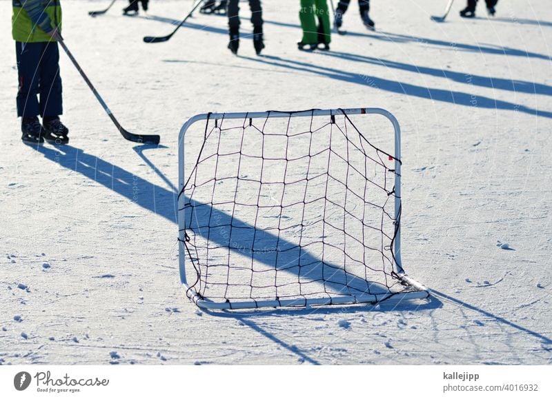 green against black Ice hockey ice hockey stick ice hockey goal Frozen surface Winter sports Ice-skates Ice-skating Sports Frost Cold Colour photo