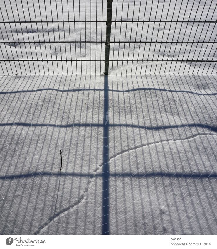 A question of calculation Snow Snow layer Fence Grating Metal Boundary Boundary line Barrier Sunlight Shadow Complex parallels Curve trace Animal Trace