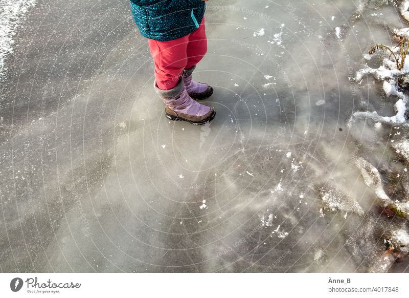 On the flooded bank of a frozen river Havel Winter Winter mood Frozen surface Exterior shot Freeze Ice Frost Structures and shapes Endurance test running waters