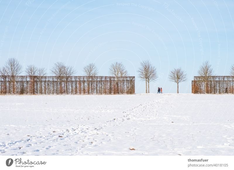 People walking in winter on avenue with snow field and sky Wide angle Long shot Contrast Shadow Light Day Exterior shot Cold Lanes & trails Tree Frost Weather