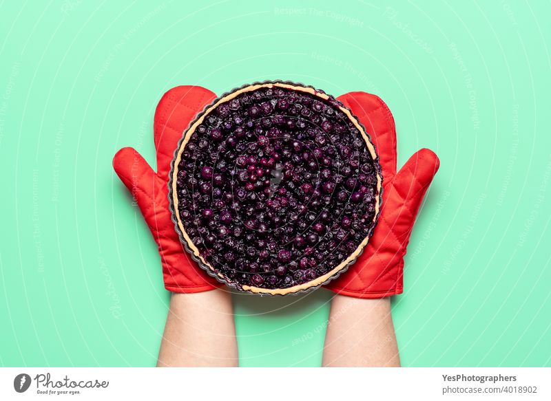 Blueberry pie fresh from the oven, top view. Woman holding blueberry pie with oven mitts above view american bake bakery baking bilberries blueberries tart