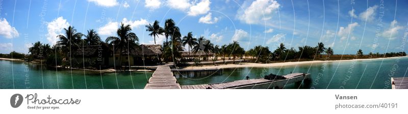 Caribbean dream Palm tree Ocean Panorama (View) Cuba Sun Water Large Panorama (Format)