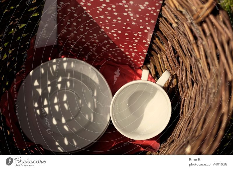 picnic Crockery Plate Cup Lifestyle Trip Beautiful weather Authentic Joy Joie de vivre (Vitality) Relaxation Wicker basket Napkin Colour photo Exterior shot