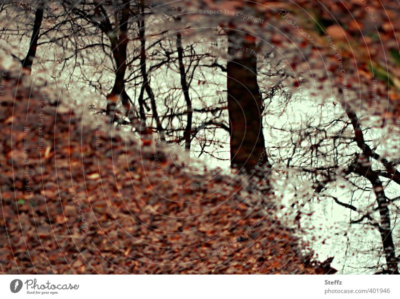 the (autumn) times are coming Longing November blues November Blues quiet moment silent november melancholy melancholically Meaning Nostalgia Poetic