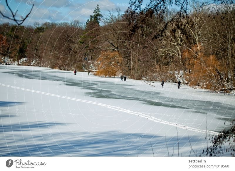 Frozen Lake Plötzen Winter Ice Pond sudden lake frozen peril Break-in burglary risk Danger of Life Ice bathing ice cream To go for a walk bank Forest Nature