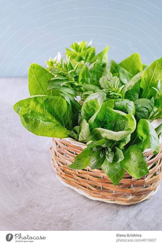 Freshly green spinach leaves placed in a wicker basket. Healthy vegan food concept. Close-up. vertical fresh organic harvest leaf vegetarian ingredient