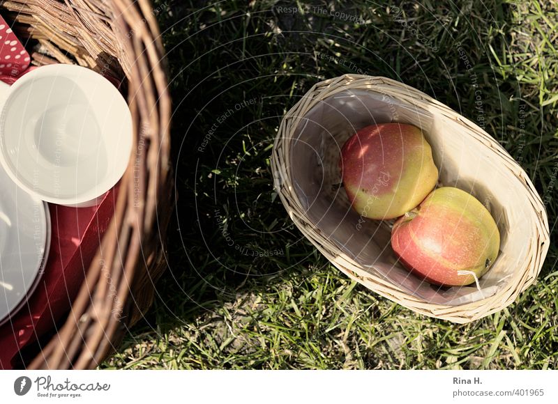 Picnic II Apple Crockery Cup Lifestyle Relaxation Calm Trip Beautiful weather Meadow Warmth Joy Happiness Joie de vivre (Vitality) Wicker basket Basket