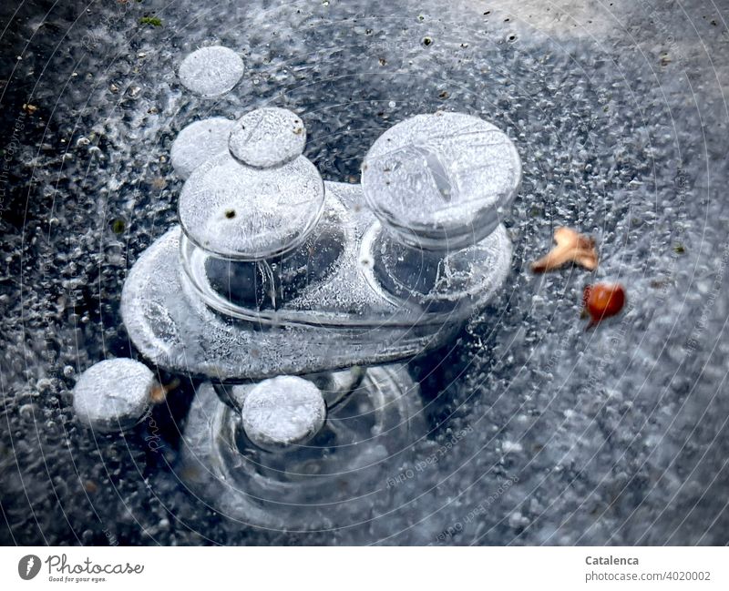 Surreal | methane bubbles trapped in ice Nature Seasons Environment Weather Winter chill Ice winter Frost Solidify Gas Blow Freeze to death Frozen Ice Sheet