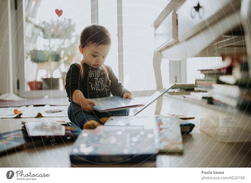 Toddler playing with books at home 1 - 3 years Caucasian Reading Education Kindergarten Child Infancy Family & Relations childhood Happy Joy Playing Lifestyle