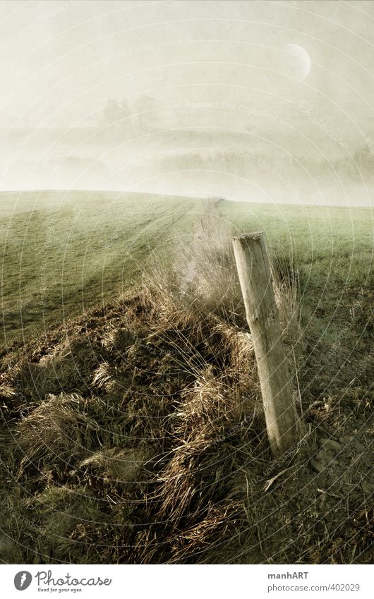 morning watch Environment Nature Landscape Earth Moon Autumn Weather Fog Tree Meadow Field Hill Breathe Touch Discover Relaxation To hold on Walking Looking Sit