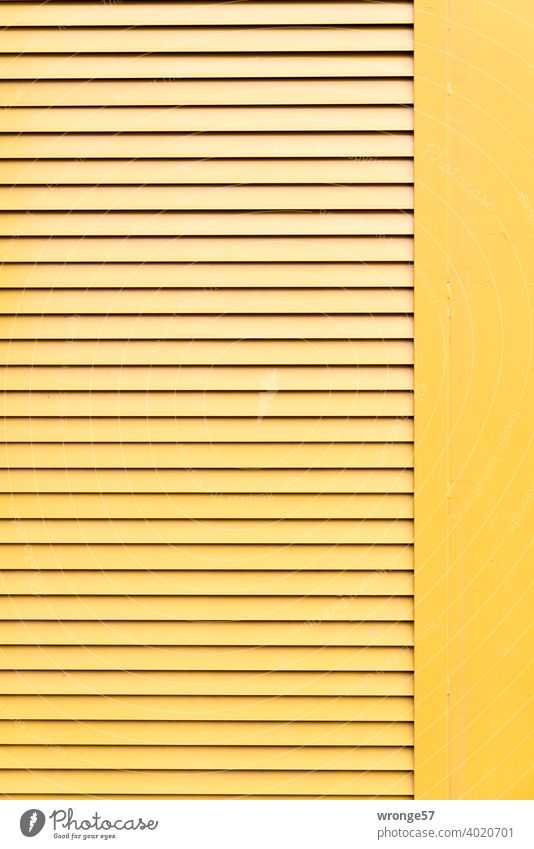 Detail of a yellow office container Container yellow container construction container Yellow detail Close-up Construction site Exterior shot Deserted