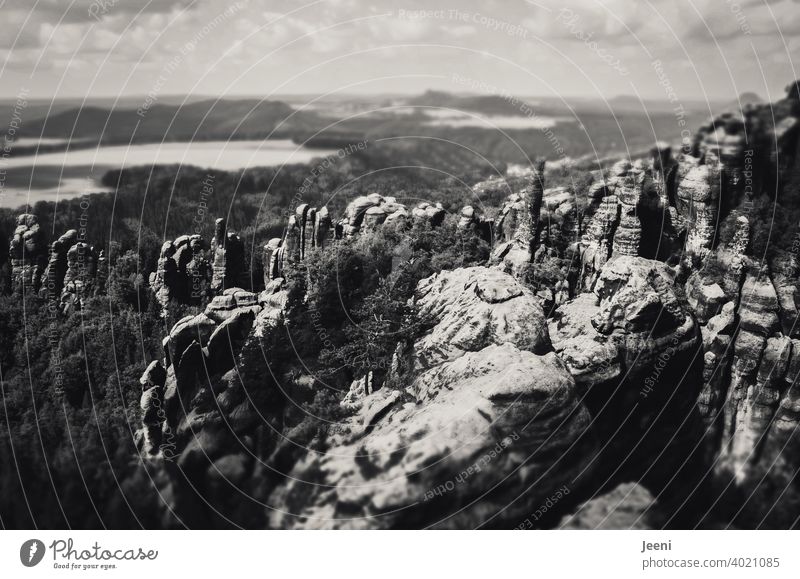 Just take a different perspective | View from above on the Elbe Sandstone Mountains Elbsandstone mountains Elbsandstein region Perspective Tall high up