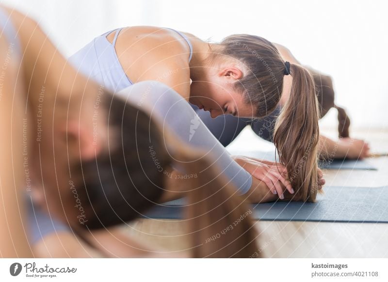 Group of young sporty attractive women in yoga studio, practicing yoga lesson with instructor, sitting on floor in forward bend yoga sana posture. Healthy active lifestyle, working out indoors in gym