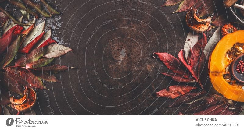 Autumn border background with half pumpkin and fall leaves. Top view. Frame autumn top view frame table space harvest rustic old design brown leaf nature