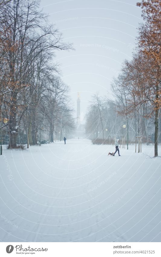 Great Tiergarten and Victory Column in Winter Tree Berlin leaf gold Monument Germany Twilight Ice else Closing time Figure Frost Gold Goldelse victory statue