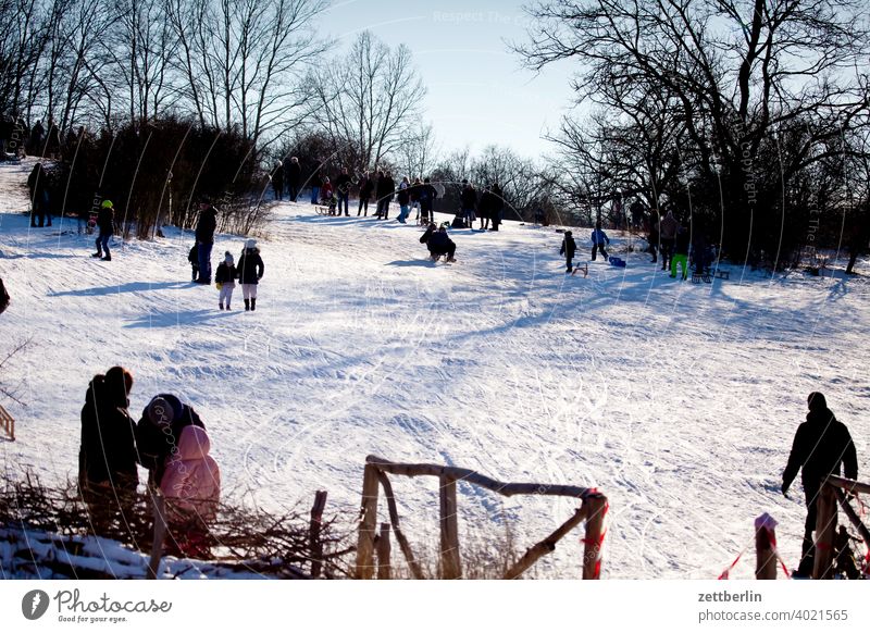 People on the toboggan hill Berlin Ice February holidays Frost jenuar Cold chill Virgin snow Snow Town urban Winter winter holidays January Sledding people