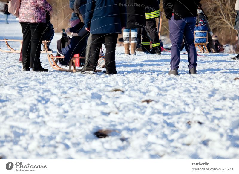 People on the toboggan hill Berlin Ice February holidays Frost jenuar Cold chill Virgin snow Snow Town urban Winter winter holidays January Sledding people